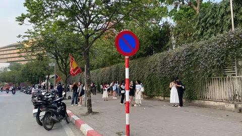“Vỡ mộng” con đường hoa tím gây sốt giới trẻ