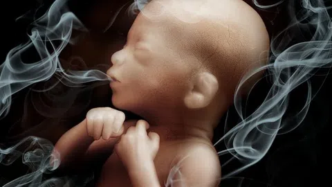 Khói thuốc lá tác động thế nào tới sức khỏe thai nhi?