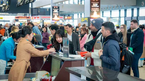 Giá vé máy bay quay đầu hạ nhiệt giữa cao điểm hè