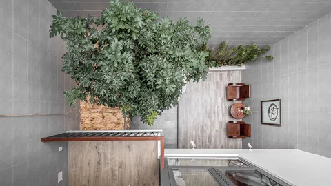 Villa City: Ngôi nhà thu hẹp phòng khách, giảm bớt phòng ngủ để tăng không gian xanh