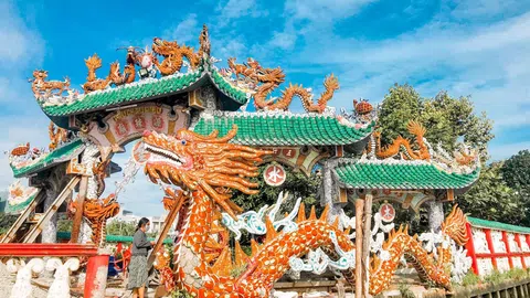 Cận cảnh gần 100 linh vật rồng uốn lượn quanh cổ miếu hơn 300 tuổi 