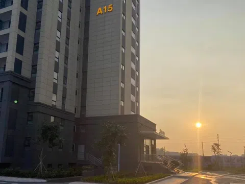 Để thực hiện hàng loạt dự án nhà ở, Bắc Giang thu hồi gần 1 triệu m2 đất lúa