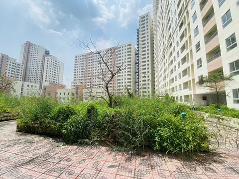 “Biến” nhà tái định cư bỏ hoang thành NOXH: Một mũi tên trúng hai đích?