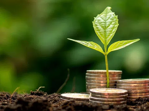 Tín dụng xanh chiếm 4,5% tổng dư nợ nền kinh tế, doanh nghiệp và nhà băng vẫn khó gặp nhau