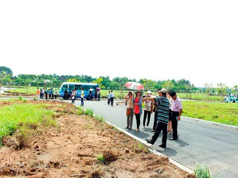 Hai quý đầu năm là cơ hội có một không ai để gom đất nền tốt, giá hời