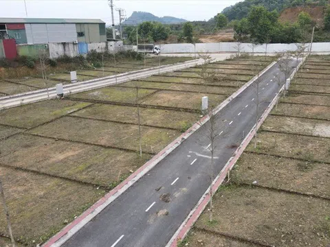 Sắp tới 105 thành phố, thị xã không được phân lô bán nền, chuyên gia lý giải để hiểu sao cho đúng về quy định này