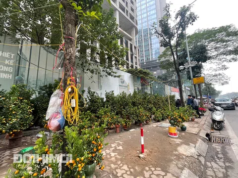 Cận cảnh vỉa hè Hà Nội bị lấn chiếm, biến thành..."chợ Tết"