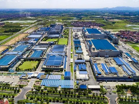 Phân khúc bất động sản nào thu hút nhiều “đại bàng” trong năm 2024?