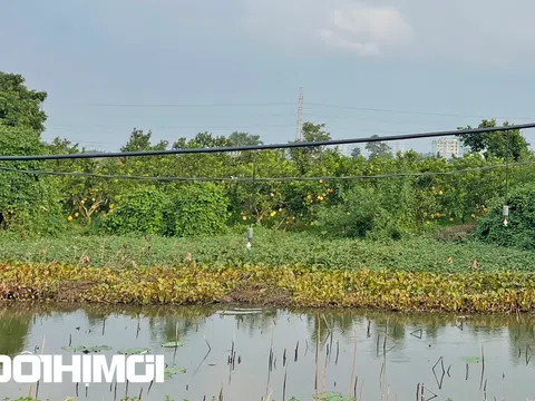 Cận cảnh Khu công nghệ cao sinh học Hà Nội vốn đầu tư tỷ đô sau 15 năm 