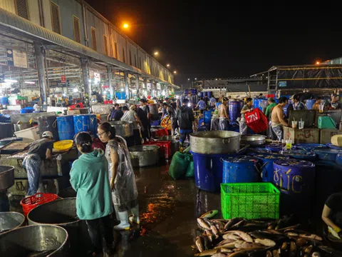 TP. HCM: Nhộn nhịp chuẩn bị cá lóc phục vụ ngày vía Thần Tài