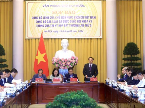Luật Đất đai mới: Những trường hợp đất không giấy tờ nào được cấp sổ đỏ?